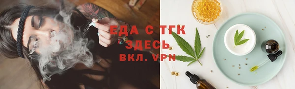 гашик Аркадак
