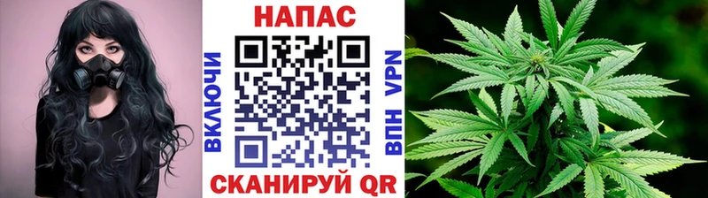 закладка  Анапа  Бошки марихуана индика 